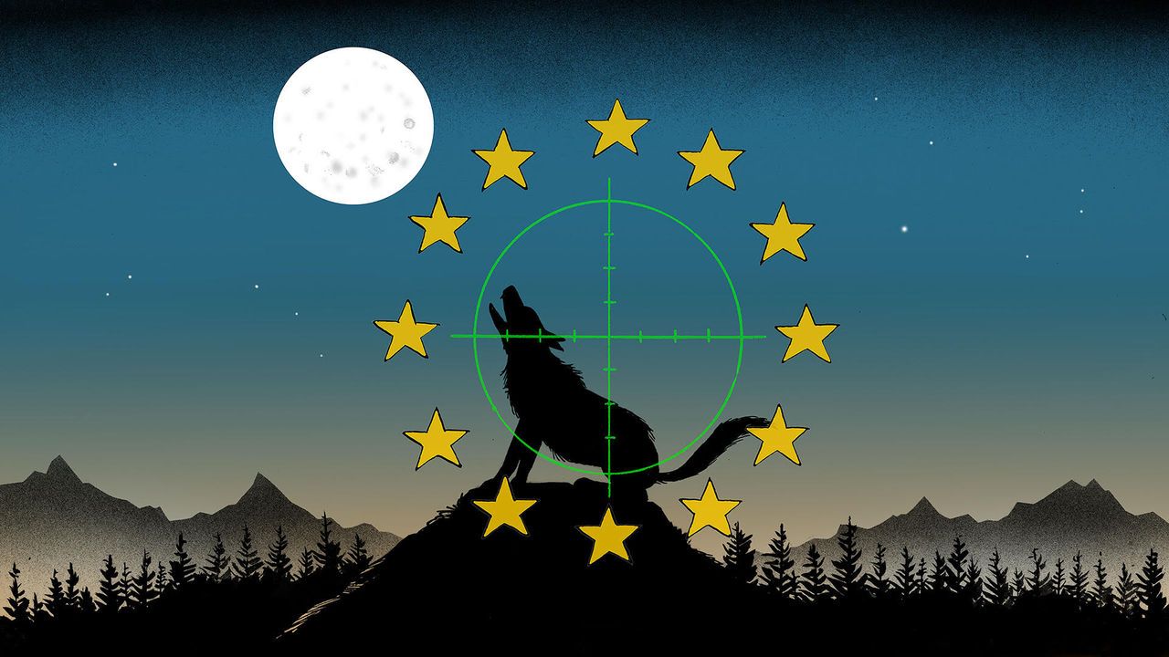 Illustration of a silhouette of a wolf howling at the moon, standing on a hill with mountains and trees in the background. Overlaid on the wolf is a green crosshair, suggesting it's being targeted. Surrounding the wolf is a circle of yellow stars